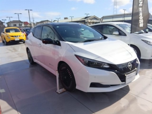 NISSAN LEAF 2024 - Moku
